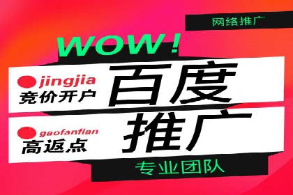 百度竞价账户托管实战：如何实现ROI最大化